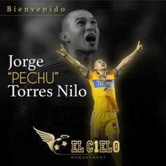 Forge Torres Nilo